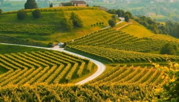 Colori nelle colline Toscane col Prosecco