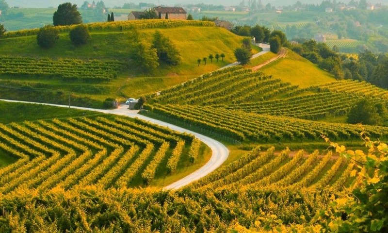 Colori nelle colline Toscane col Prosecco