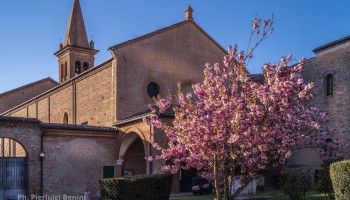 Ferrara: Chagall; affreschi a S. Antonio in Polesine