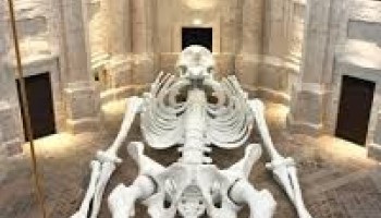 Foligno e la Calamita Cosmica 