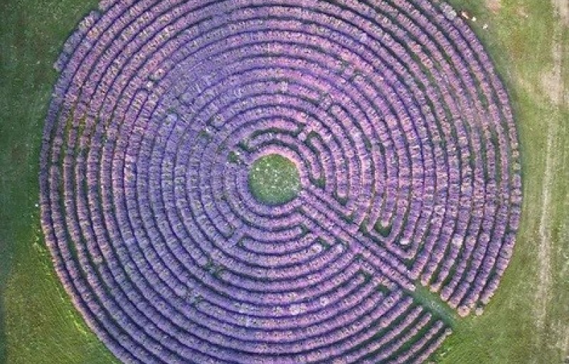 Giornata sensoriale tra labirinti, Castelli e lavanda