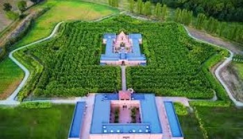 Il labirinto della Masone e Festa dei ciliegi in fiore