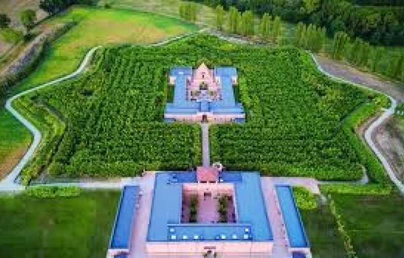 Il labirinto della Masone e Festa dei ciliegi in fiore