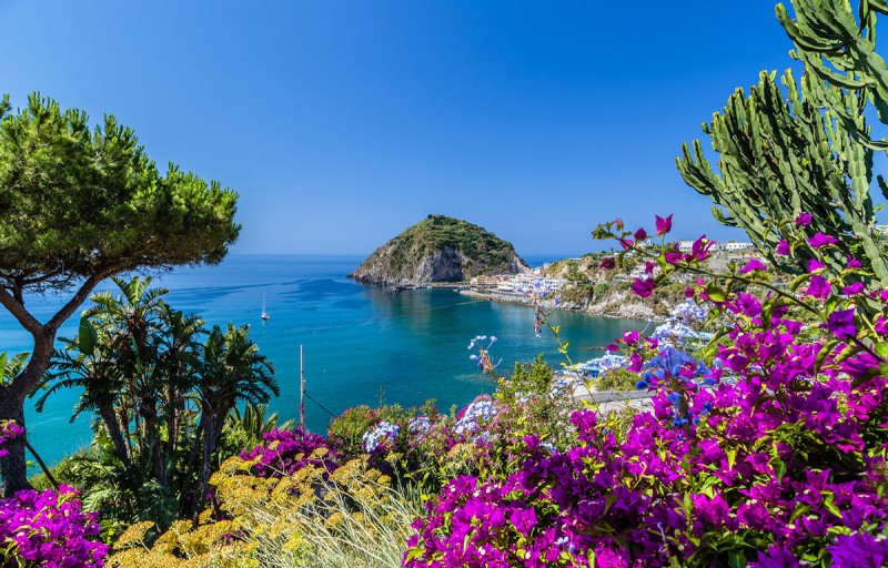 Isola d'Ischia Terme Capri e Procida 