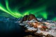 La magia dell'Aurora Boreale: Lapponia Finlandese
