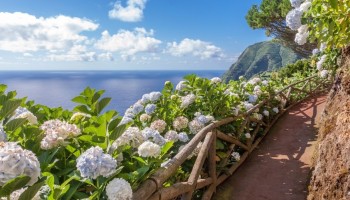 Le Azzorre: tour delle isole perdute