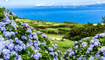 Le Azzorre: tour delle isole perdute