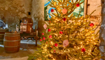 Mercatini di Natale e Riva del Garda