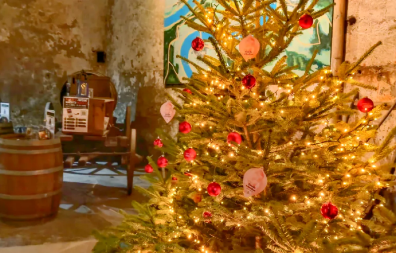 Mercatini di Natale e Riva del Garda
