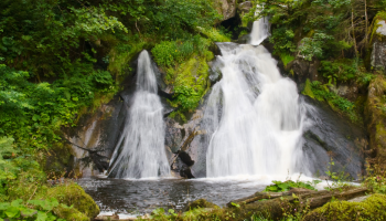 Nel cuore della Foresta Nera