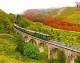 TRENINO ROSSO DEL BERNINA _ Magia d’inverno 