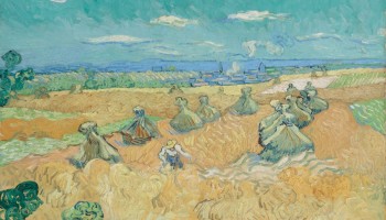 Treviso tra arte e storia Mostra da Picasso a Van Gogh