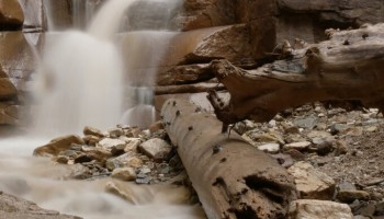 Val di Fassa Green Week